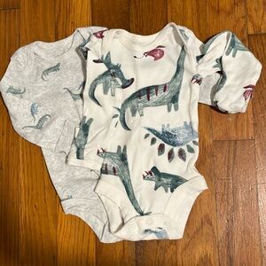 Long Sleeve Onesie Set